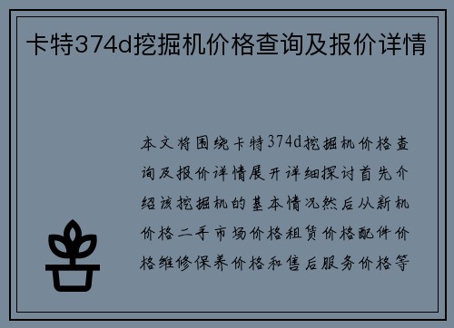 卡特374d挖掘机价格查询及报价详情