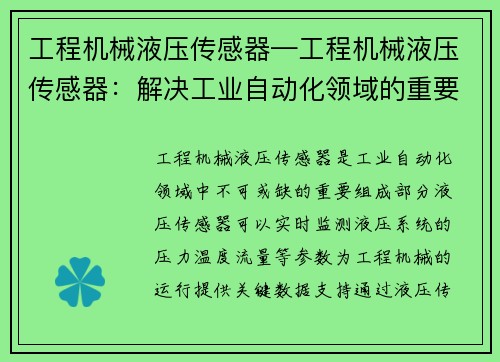 工程机械液压传感器—工程机械液压传感器：解决工业自动化领域的重要难题